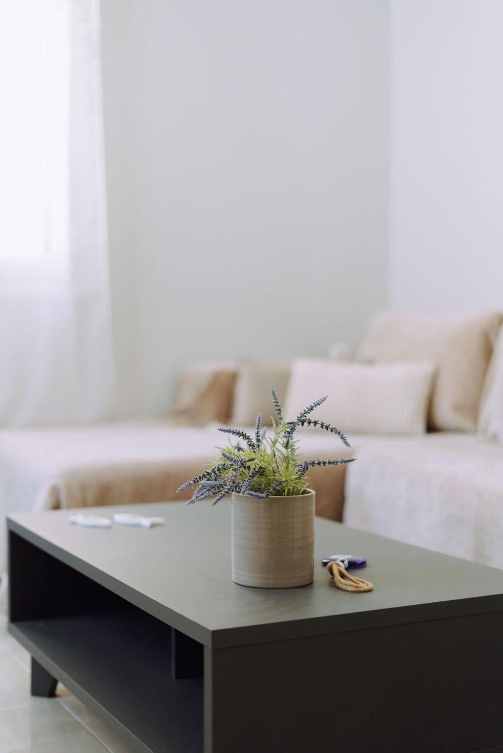 Lithostroto Suites 阿尔戈斯托利翁 外观 照片